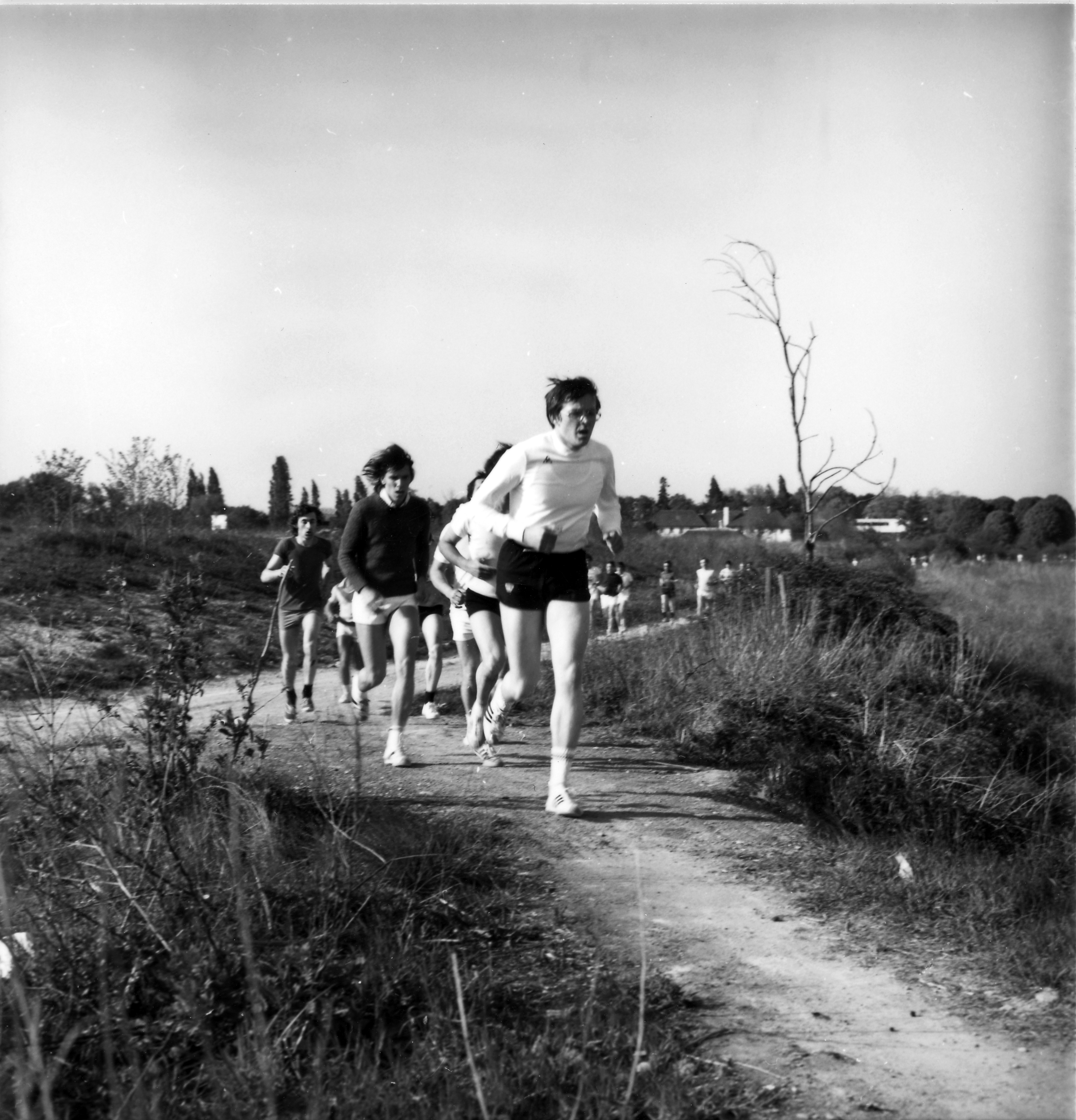 Ret-ASIP-002.jpg