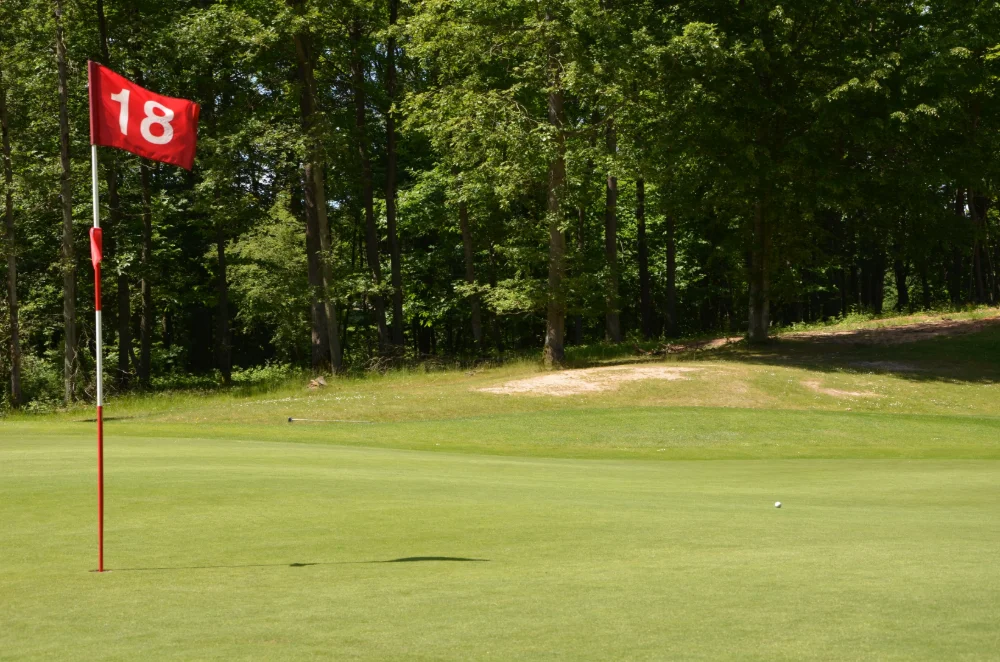 Golf%202.JPG